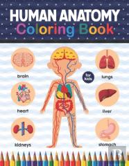 Human Anatomy Coloring Book For Kids