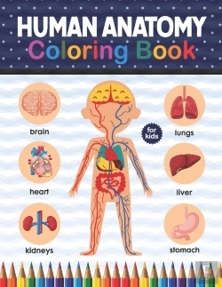 Bertrand.pt - Human Anatomy Coloring Book For Kids