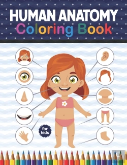 Bertrand.pt - Human Anatomy Coloring Book For Kids