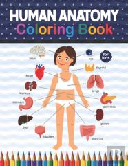 Human Anatomy Coloring Book For Kids