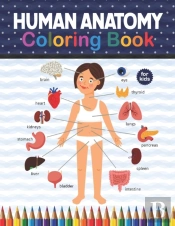 Human Anatomy Coloring Book For Kids