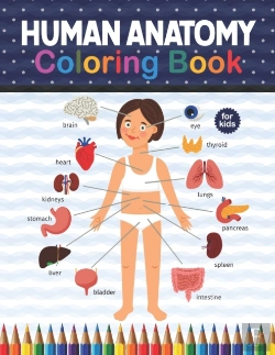 Bertrand.pt - Human Anatomy Coloring Book For Kids