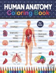 Human Anatomy Coloring Book For Kids