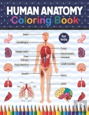 Human Anatomy Coloring Book For Kids