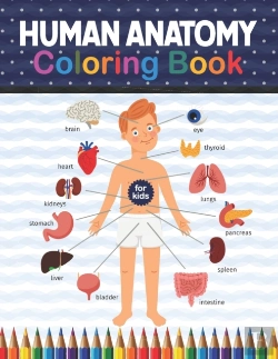 Bertrand.pt - Human Anatomy Coloring Book For Kids