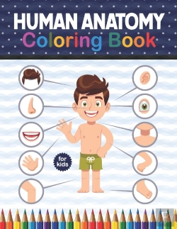 Bertrand.pt - Human Anatomy Coloring Book For Kids