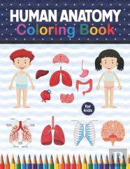Human Anatomy Coloring Book For Kids