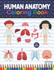 Human Anatomy Coloring Book For Kids