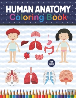 Bertrand.pt - Human Anatomy Coloring Book For Kids