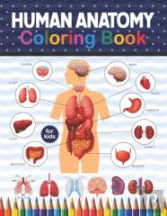 Human Anatomy Coloring Book For Kids