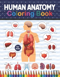 Bertrand.pt - Human Anatomy Coloring Book For Kids