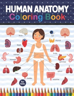 Bertrand.pt - Human Anatomy Coloring Book For Kids
