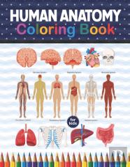 Human Anatomy Coloring Book For Kids