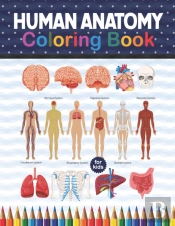 Human Anatomy Coloring Book For Kids