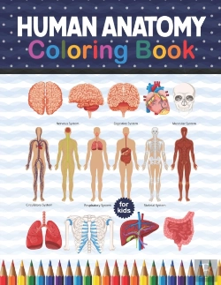 Bertrand.pt - Human Anatomy Coloring Book For Kids