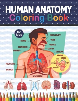 Bertrand.pt - Human Anatomy Coloring Book For Kids