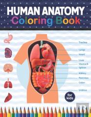 Human Anatomy Coloring Book For Kids