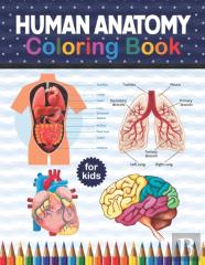 Human Anatomy Coloring Book For Kids