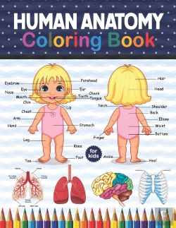 Bertrand.pt - Human Anatomy Coloring Book For Kids