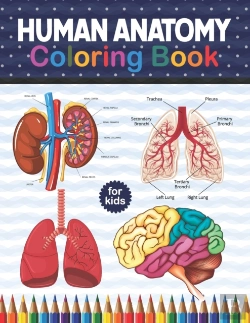 Bertrand.pt - Human Anatomy Coloring Book For Kids