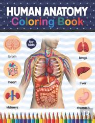 Human Anatomy Coloring Book For Kids