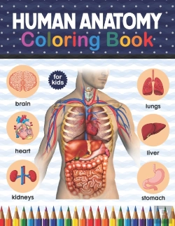 Bertrand.pt - Human Anatomy Coloring Book For Kids