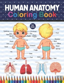 Bertrand.pt - Human Anatomy Coloring Book For Kids