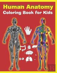 Human Anatomy Coloring Book For Kids