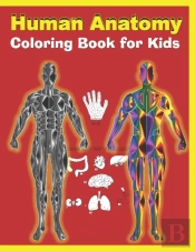 Human Anatomy Coloring Book For Kids