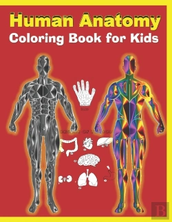 Bertrand.pt - Human Anatomy Coloring Book For Kids