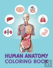 Human Anatomy Coloring Book