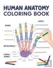 Human Anatomy Coloring Book