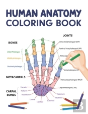 Human Anatomy Coloring Book