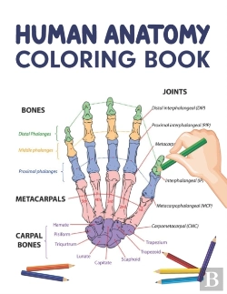 Bertrand.pt - Human Anatomy Coloring Book