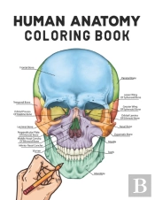 Human Anatomy Coloring Book