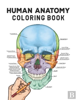 Bertrand.pt - Human Anatomy Coloring Book