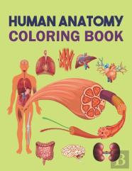 Human Anatomy Coloring Book