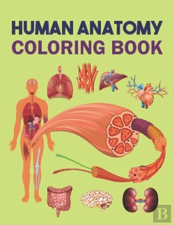 Bertrand.pt - Human Anatomy Coloring Book