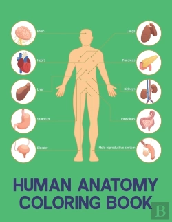 Bertrand.pt - Human Anatomy Coloring Book