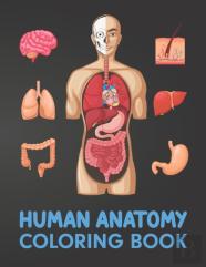 Human Anatomy Coloring Book