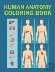 Human Anatomy Coloring Book