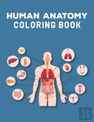 Human Anatomy Coloring Book