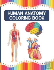 Human Anatomy Coloring Book