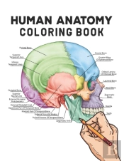 Human Anatomy Coloring Book