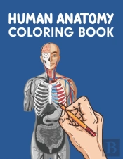 Human Anatomy Coloring Book