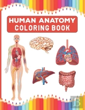 Human Anatomy Coloring Book