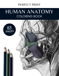 Bertrand.pt - Human Anatomy Coloring Book