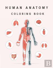 Human Anatomy Coloring Book