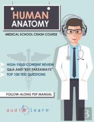 Human Anatomy
