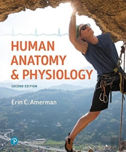 Bertrand.pt - Human Anatomy & Physiology